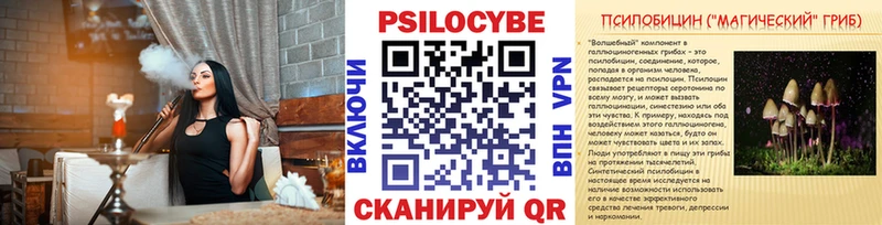 что такое наркотик  Троицк  Галлюциногенные грибы Psilocybe 