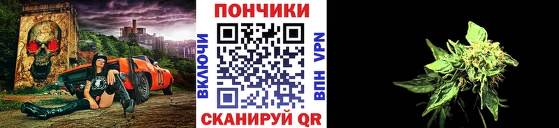 Шишки марихуана конопля  купить наркотики цена  даркнет телеграм  Троицк 